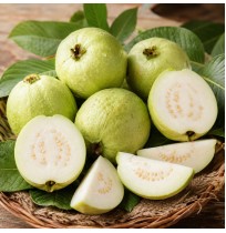 *Semi-Ripe White Guava (Satva Farm)